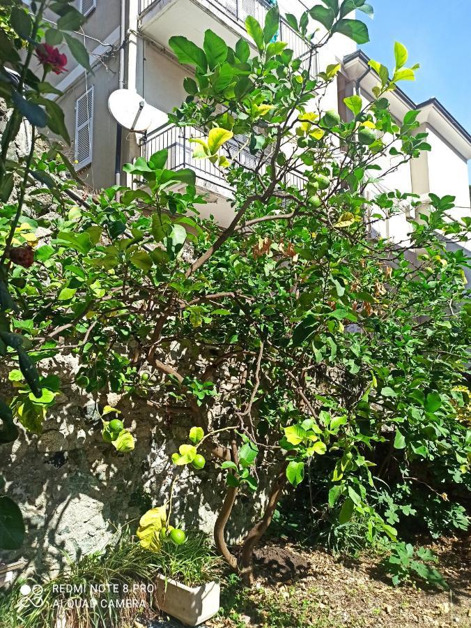 Lemons House Leilighet Monterosso al Mare Eksteriør bilde